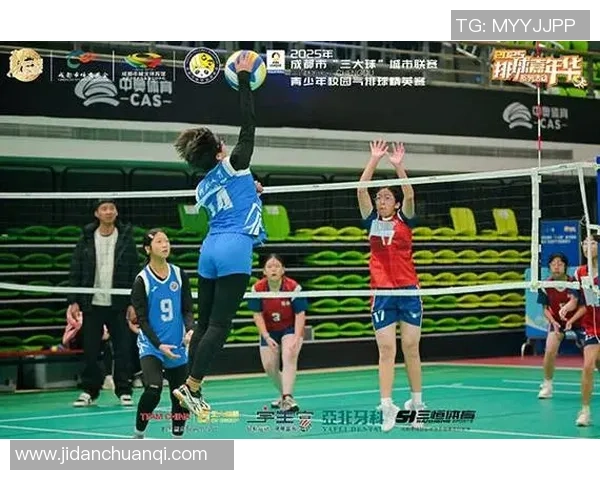 成都排球队荣登全国排球比赛经验排行榜第一名引发热议